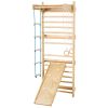 Swedish Ladder Wall Gym 5 in 1 Wooden Indoor Playground Climbing Toys