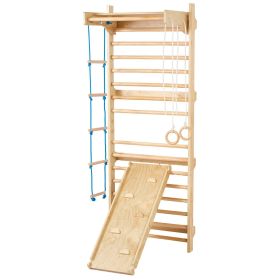 Swedish Ladder Wall Gym 5 in 1 Wooden Indoor Playground Climbing Toys